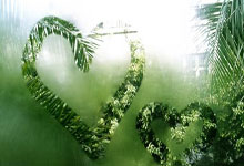 过敏性鼻炎患者的天涯论坛日常