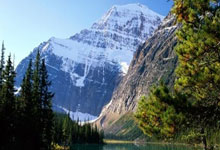 天涯四美男是哪四个